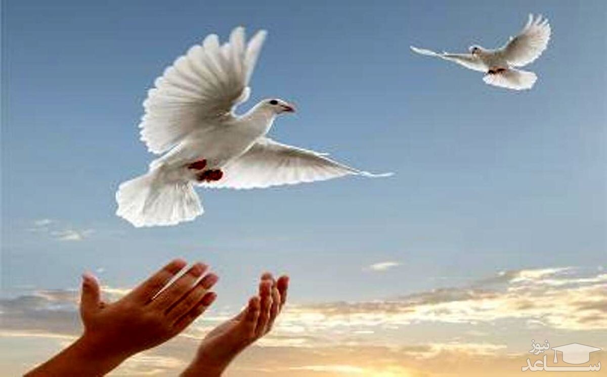 آزادی سه محکوم مالی با نیت خیرات برای پدر مرحوم آزادی سه محکوم مالی با نیت خیرات برای پدر مرحوم