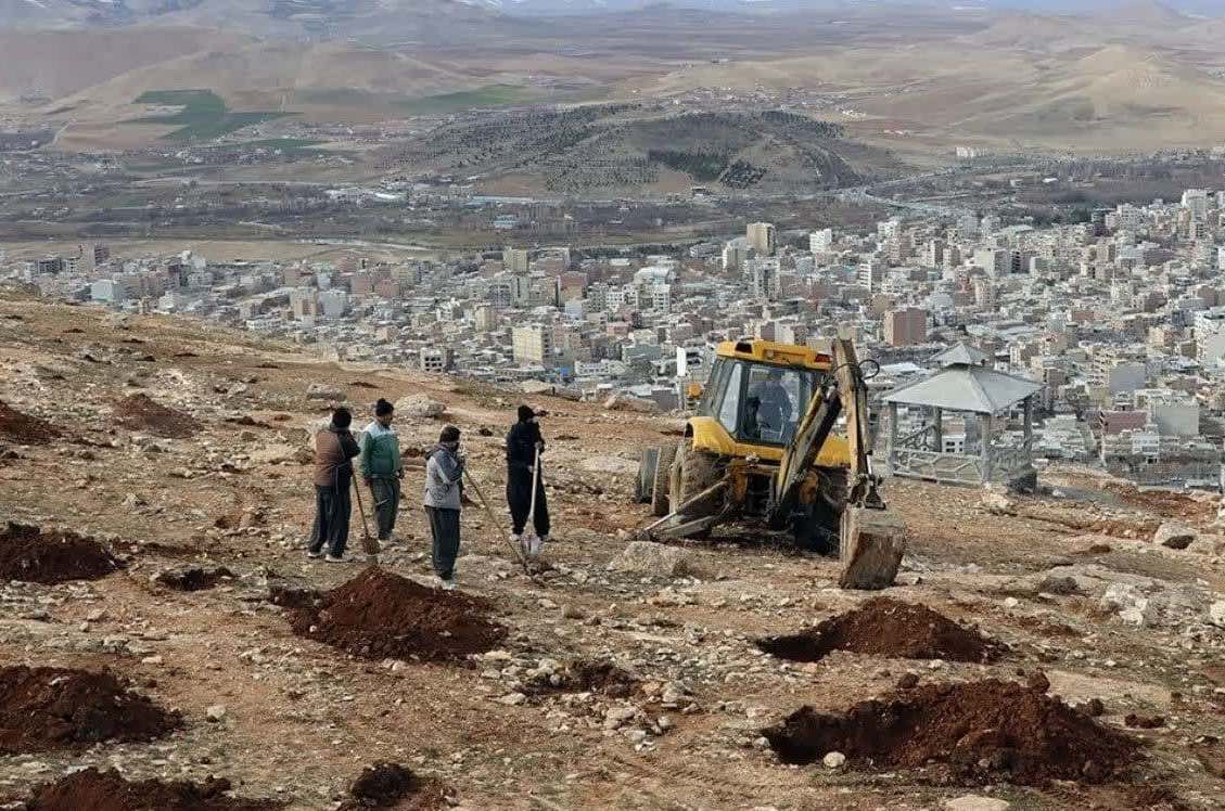 مطالعات  طرح جامع جنگل کاری نالشکینه بوکان