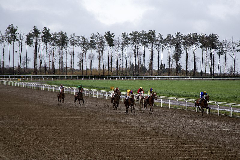 برترینهای هفته چهارم سوارکاری گنبدکاووس برترینهای هفته چهارم سوارکاری گنبدکاووس