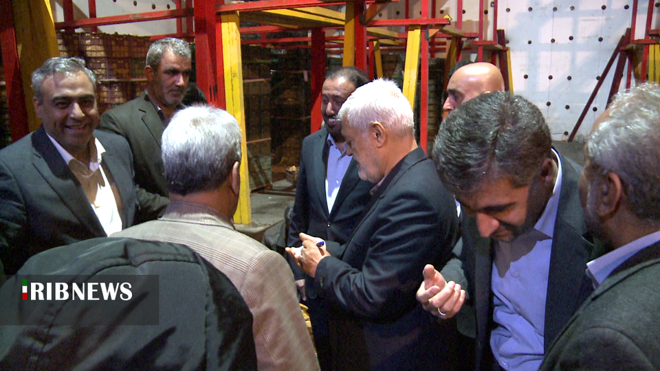 بازدید هیئت وزارت کشاورزی عراق از باغ های سیب مراغه