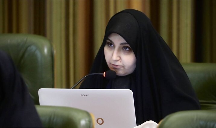 انتقاد عضو شورا از وضع مبهم لایحه پیشگیری از تغییرات اقلیمی