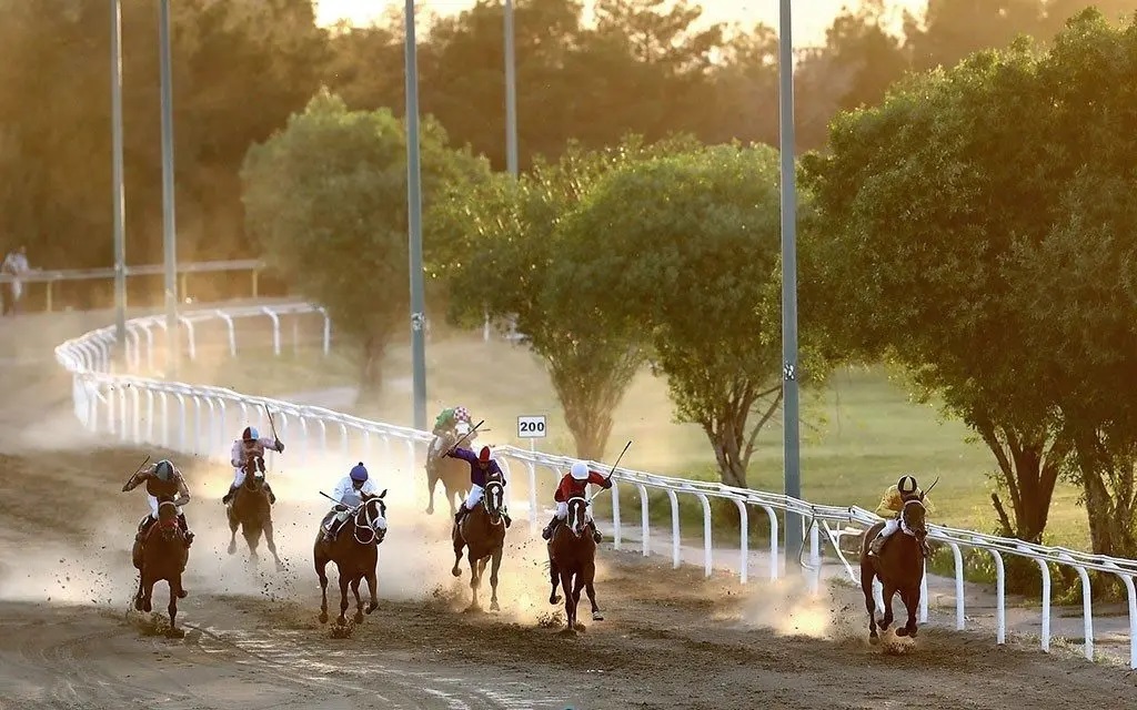 تاخت و تاز اسب‌ها در ششمین هفته رقابت‌های سوارکاری گنبدکاووس