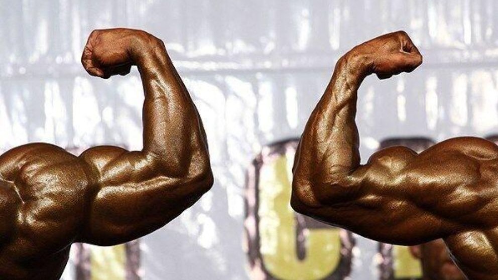 سه طلا و یک برنز سهم ورزشکاران آذربایجان شرقی در مسابقات پرورش اندام قهرمانی کشور سه طلا و یک برنز سهم ورزشکاران آذربایجان شرقی در مسابقات پرورش اندام قهرمانی کشور