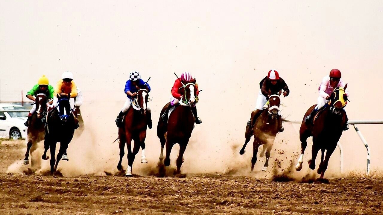 کمال دالی جه عطا قهرمان هفته هفتم کورس بهار گنبدکاووس کمال دالی جه عطا قهرمان هفته هفتم کورس بهار گنبدکاووس