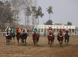 برترین ها روز دوم هفته هفتم کورس بهاره گنبدکاووس معرفی شدند.