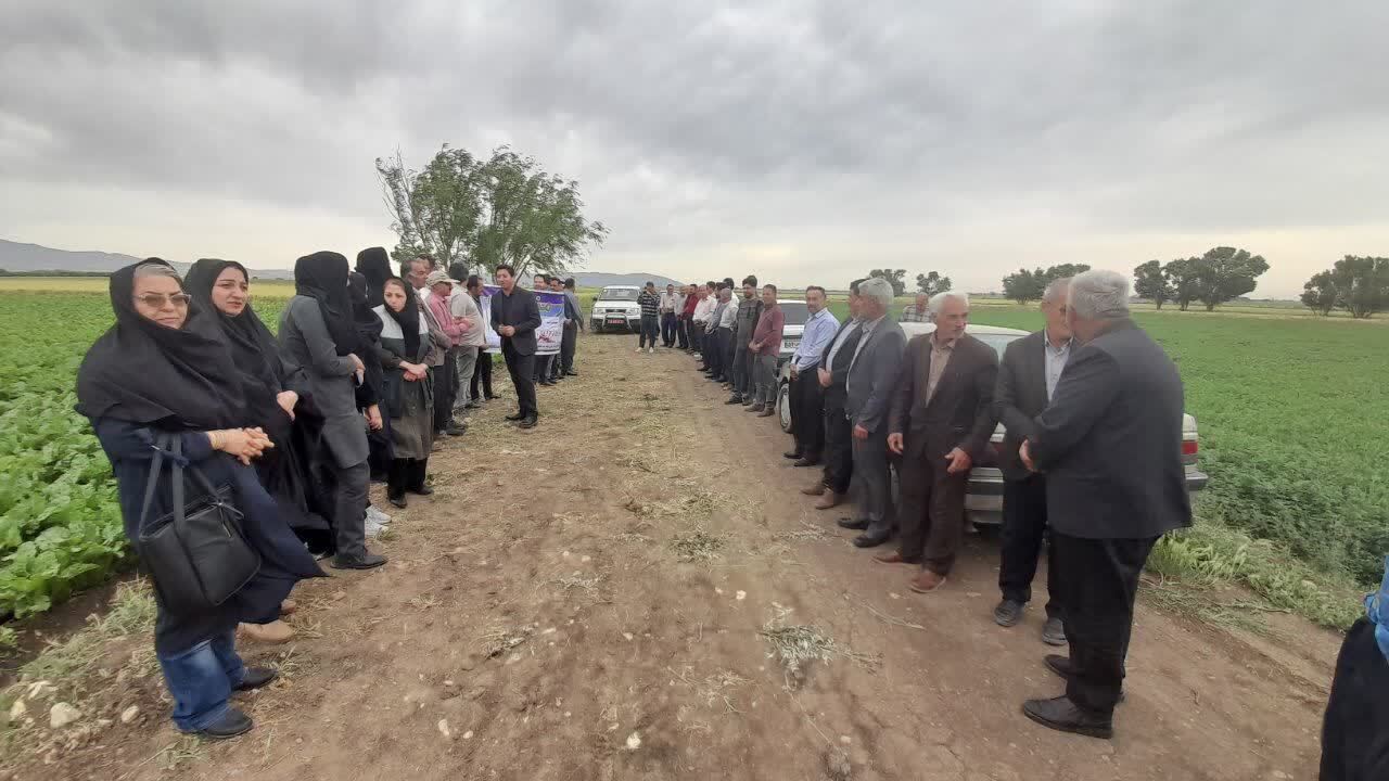 برگزاری آیین روز مزرعه چغندرقند برگزاری آیین روز مزرعه چغندرقند