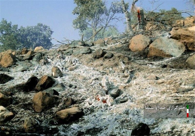 مهار آتش سوزی در جنگلهای لرستان مهار آتش سوزی در جنگلهای لرستان