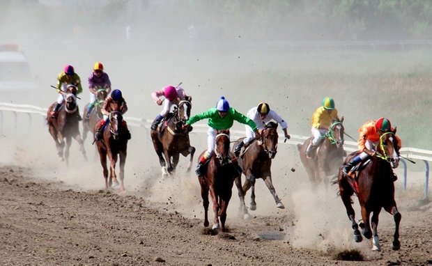 هفته دوم رقابت‌های سوارکاری، بندرترکمن