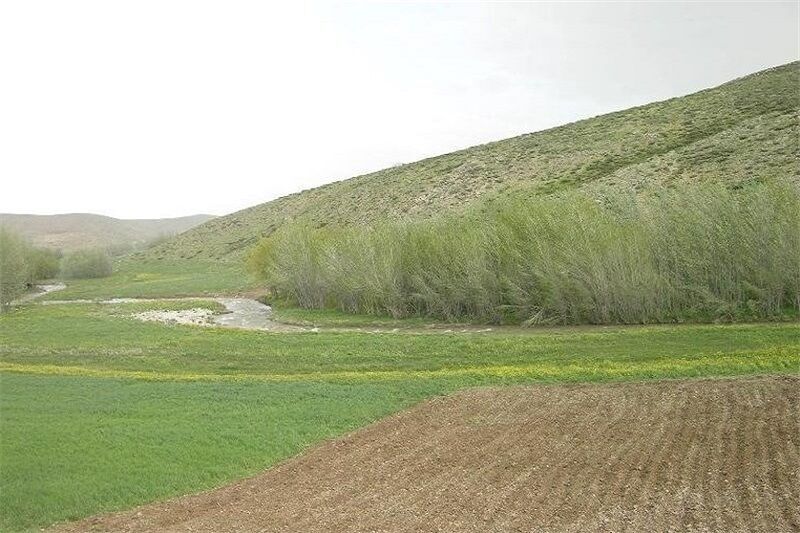 اخذ سه هزار و ۵۰۰ فقره سند تک برگ برای اراضی دولتی خوزستان