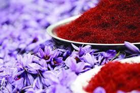 بزرگترین عرضه زعفران در بورس