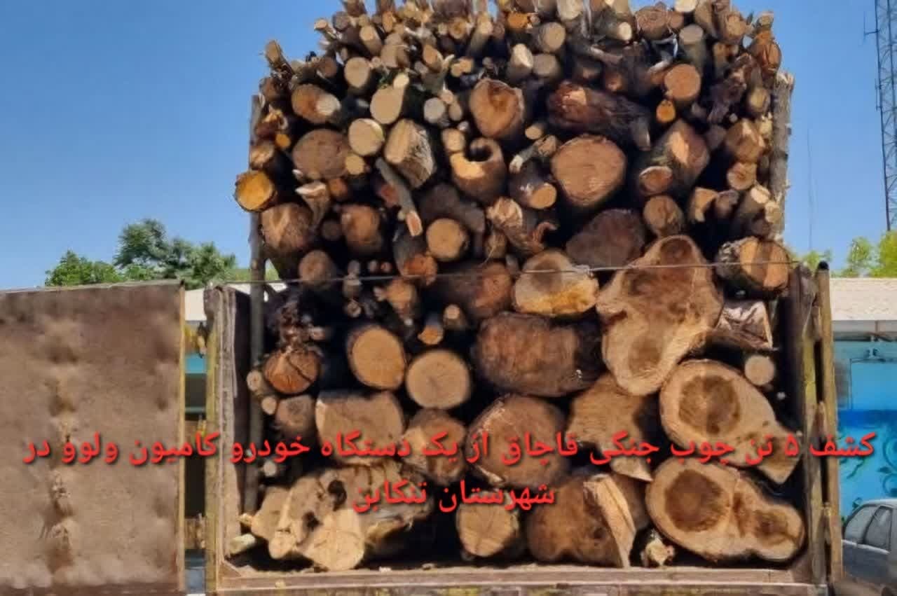 کشف یک خودروی کامیون حامل چوب جنگلی در تنکابن کشف یک خودروی کامیون حامل چوب جنگلی در تنکابن
