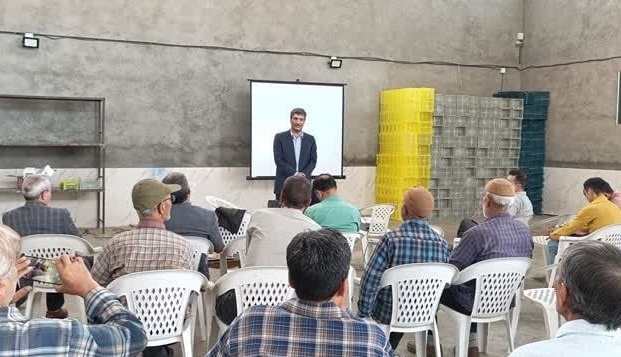 برگزاری روز مزرعه گیلاس در نیشابور