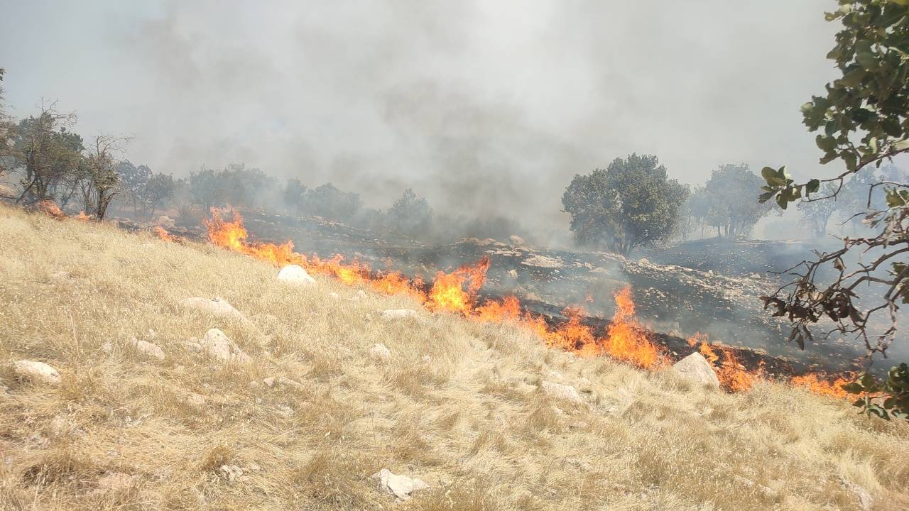 شعلههای آتش در خائیز تا عصر امروز خاموش میشود شعلههای آتش در خائیز تا عصر امروز خاموش میشود