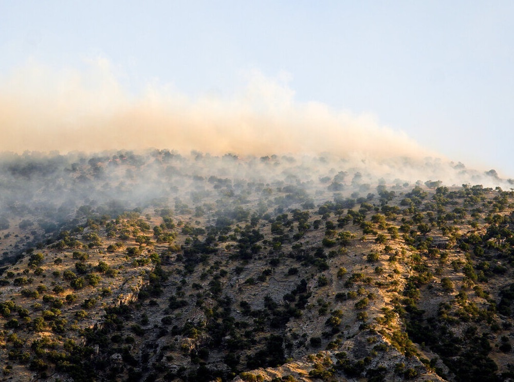 آتش سوزی چناره دره‌شهر مهار شد