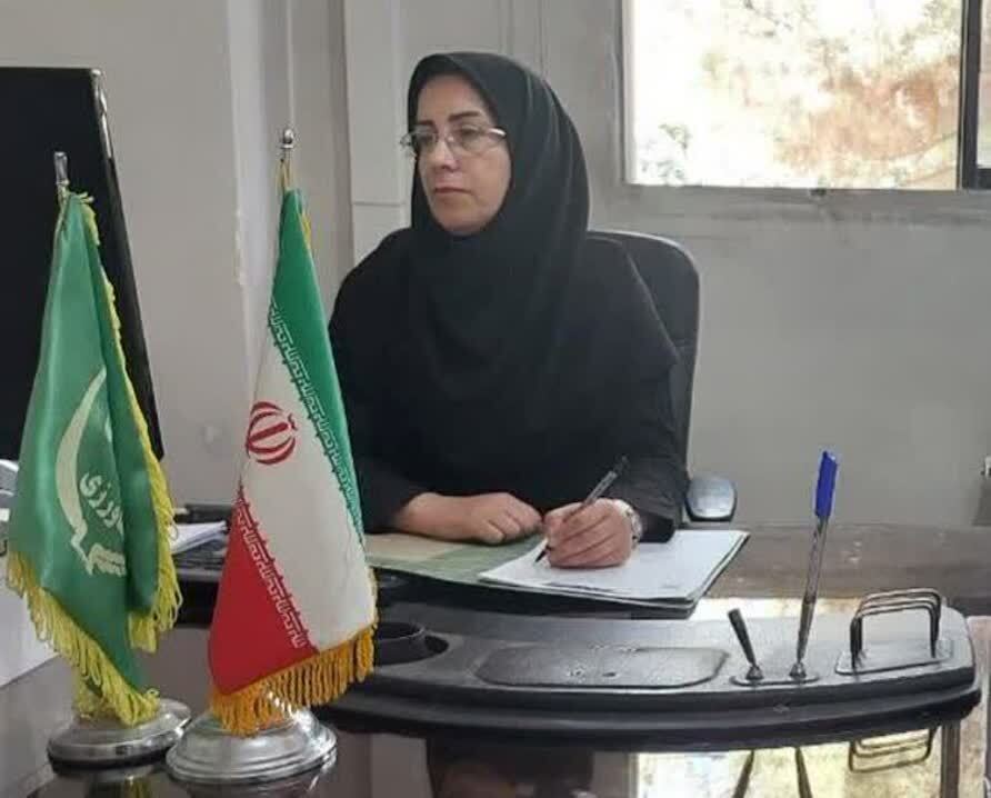 ۶۵ درصد کشت سیب زمینی در آذربایجان‌غربی مکانیزه است