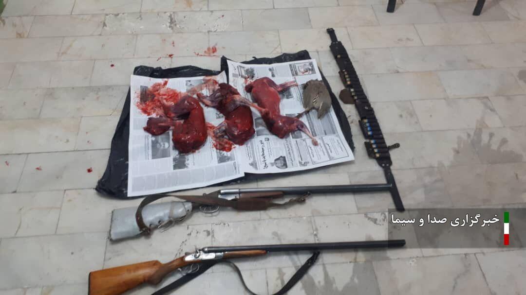 دستگیری یک شکارچی غیر مجاز در راز و جرگلان دستگیری یک شکارچی غیر مجاز در راز و جرگلان