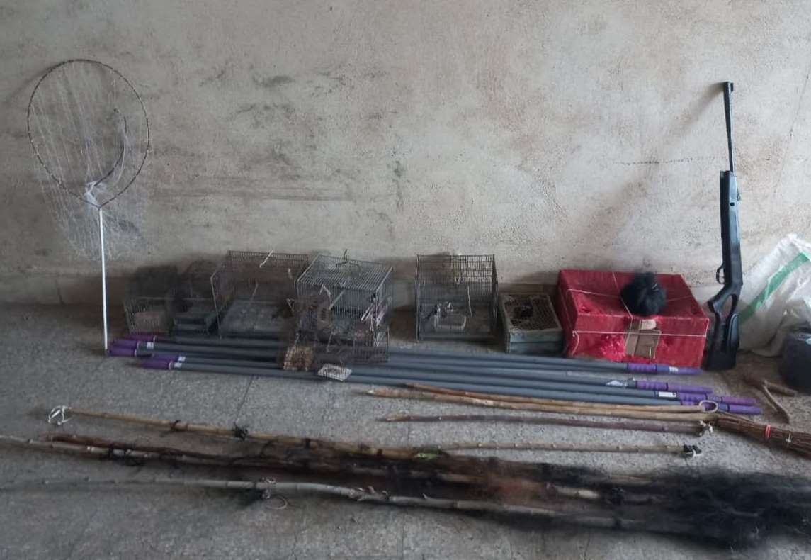 دستگیری متخلف زندهگیری سهره طلایی در اردبیل دستگیری متخلف زندهگیری سهره طلایی در اردبیل