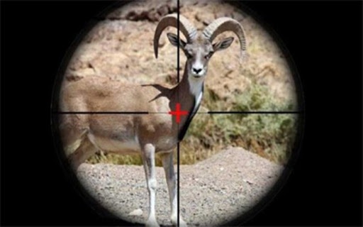 زیان بیش از ۱۵میلیارد تومانی تخلفات زیست محیطی در خراسان جنوبی زیان بیش از ۱۵میلیارد تومانی تخلفات زیست محیطی در خراسان جنوبی