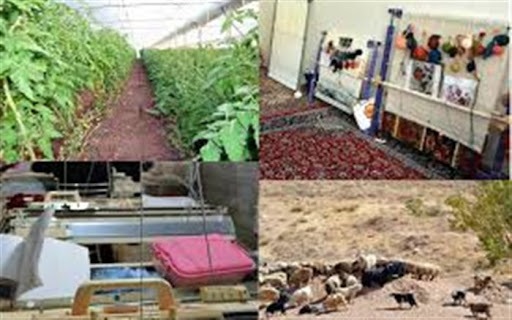 افزایش ۳۰ درصدی طرح های اشتغالزایی بسیج سازندگی خراسان جنوبی افزایش ۳۰ درصدی طرح های اشتغالزایی بسیج سازندگی خراسان جنوبی