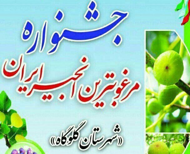 ضرورت ایجاد صنایع تبدیلی انجیر در گلوگاه