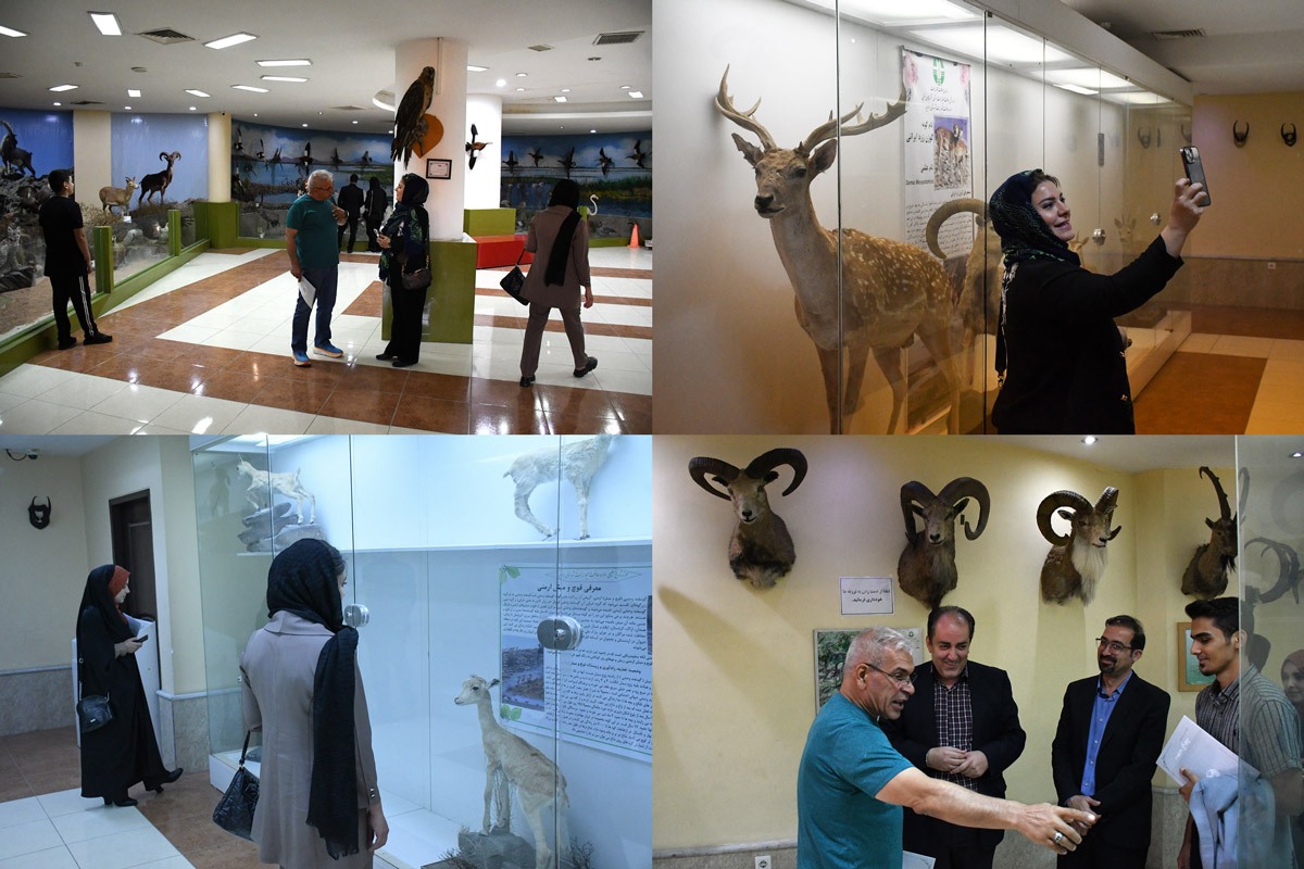 حفاظت از محیط زیست امری فراجناحی و حاکمیتی است حفاظت از محیط زیست امری فراجناحی و حاکمیتی است