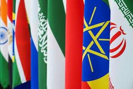 در نشست معاونان بانک های مرکزی گروه بریکس بر استفاده از ارزهای محلی به جای دلار در معاملات اعضای بریکس تاکید شد.