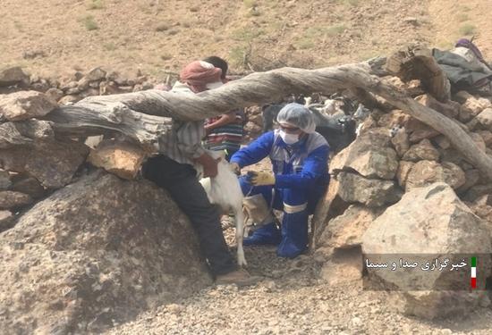 واکسیناسیون بیش از ۱۸۰ هزار رأس دام برای مقابله با بیماری طاعون در قائنات واکسیناسیون بیش از ۱۸۰ هزار رأس دام برای مقابله با بیماری طاعون در قائنات