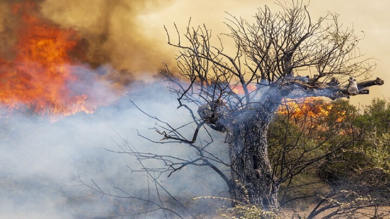 ۳.۶ میلیون هکتار از اراضی اصفهان در معرض آتشسوزی ۳.۶ میلیون هکتار از اراضی اصفهان در معرض آتشسوزی