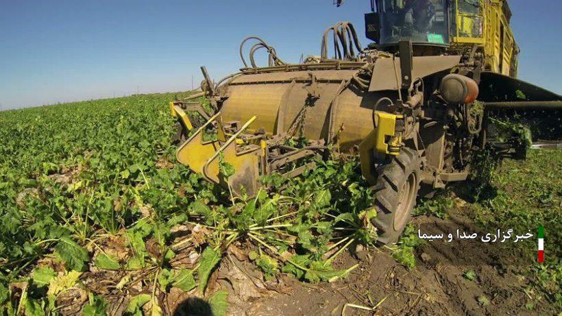 پیش بینی برداشت اولیه یک میلیون و ۸۵۰ هزار تن چغندرقند در آذربایجانغربی پیش بینی برداشت اولیه یک میلیون و ۸۵۰ هزار تن چغندرقند در آذربایجانغربی