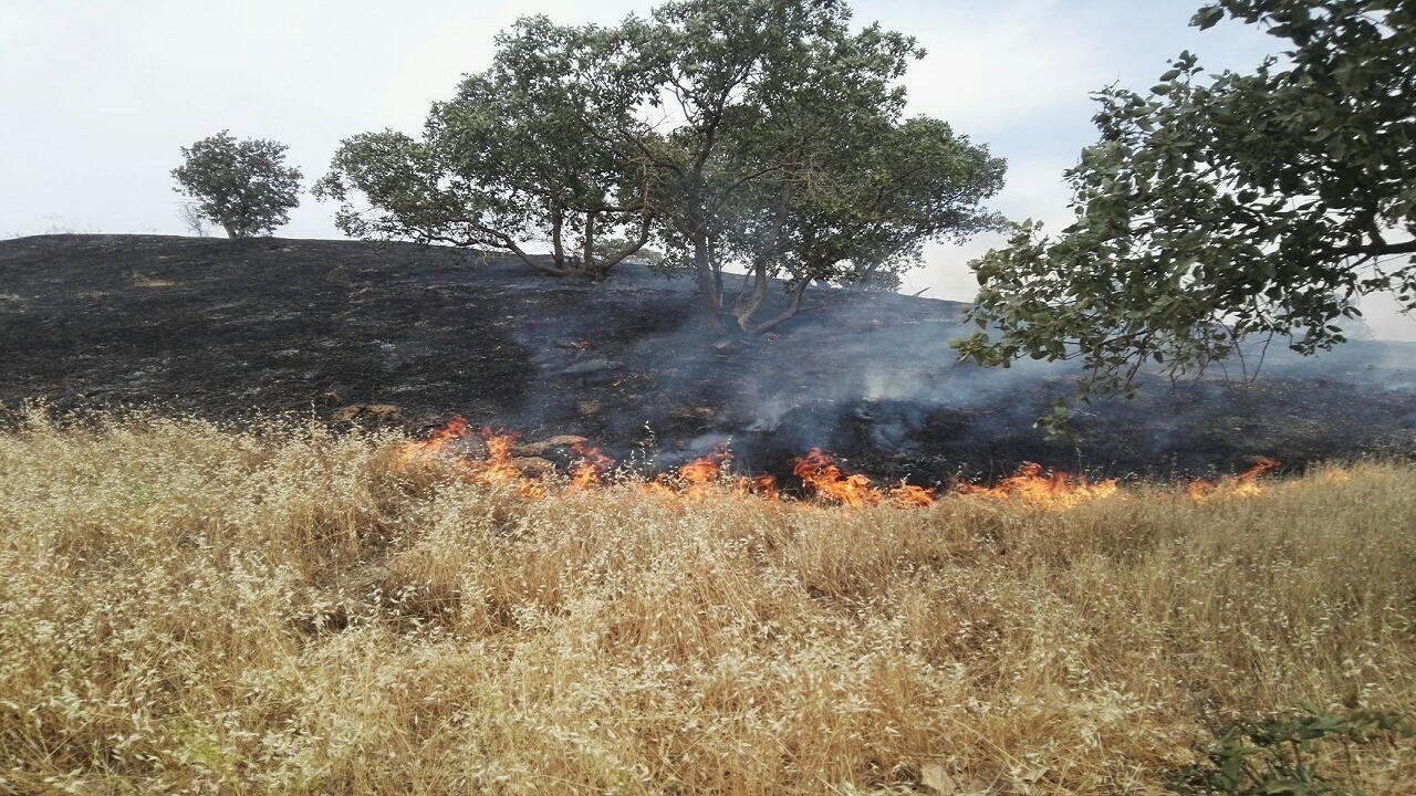افزایش آتش سوزی در مراتع؛ کنترل حریق در چهار نقطه استان افزایش آتش سوزی در مراتع؛ کنترل حریق در چهار نقطه استان