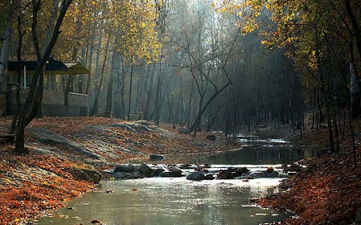 امروز ۲۱ شهریور، هوای مشهد سالم است امروز ۲۱ شهریور، هوای مشهد سالم است