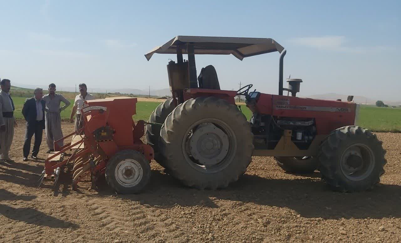 آغاز کشت محصول کلزا در شهرستان میاندوآب آغاز کشت محصول کلزا در شهرستان میاندوآب