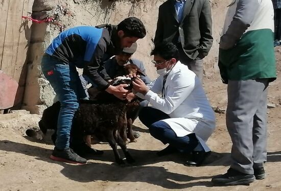 آغاز رزمایش ملی جهاد امنیت غذایی پایدار در استان خراسانرضوی آغاز رزمایش ملی جهاد امنیت غذایی پایدار در استان خراسانرضوی