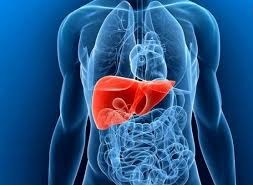 نارسایی کبدی به دلیل مدیریت نکردن بیماری هپاتیت نارسایی کبدی به دلیل مدیریت نکردن بیماری هپاتیت