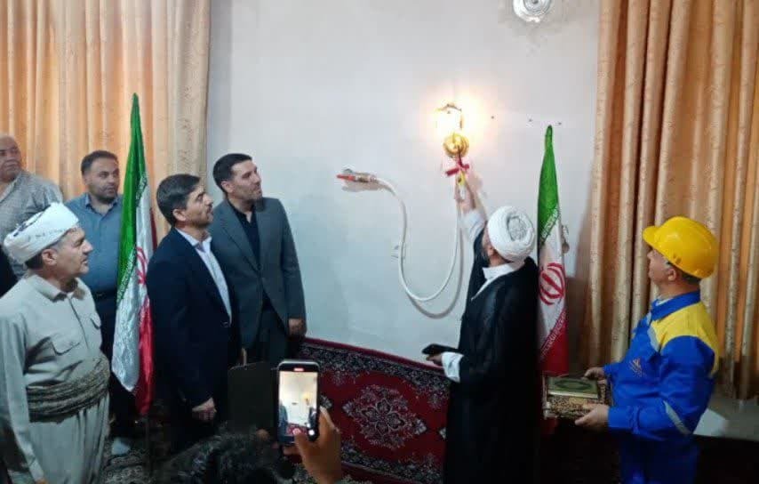 نقده هم سبز شد نقده هم سبز شد