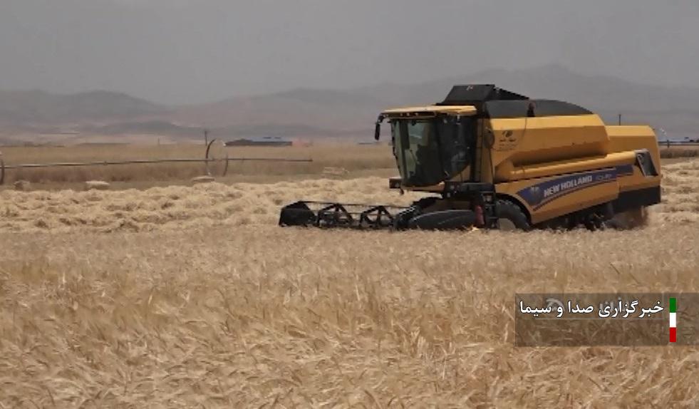 پرداخت ۸ همت از مطالبات گندمکاران استان همدان پرداخت ۸ همت از مطالبات گندمکاران استان همدان