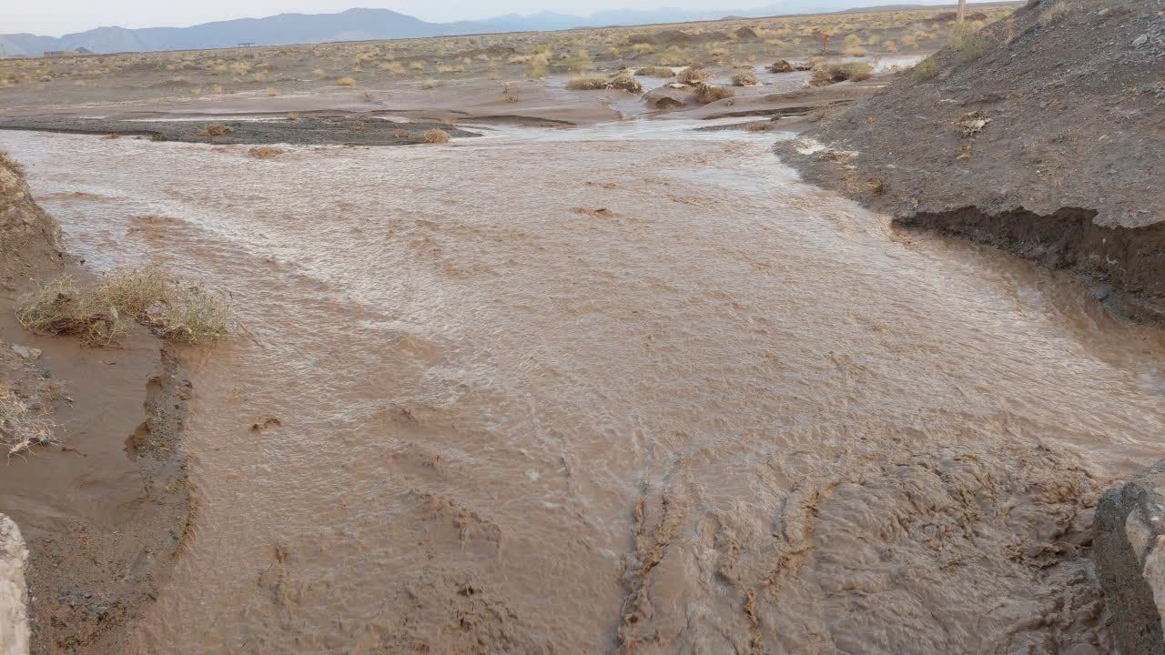 خسارت ۵ میلیارد تومانی سیل به پسته و راه‌های بردسکن