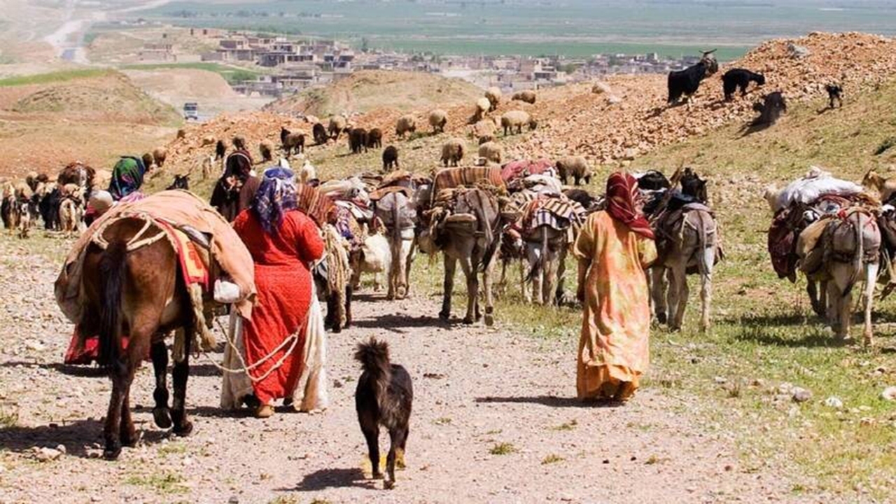 آغاز کوچ پاییزه عشایر از ۱۵آبان درفارس آغاز کوچ پاییزه عشایر از ۱۵آبان درفارس