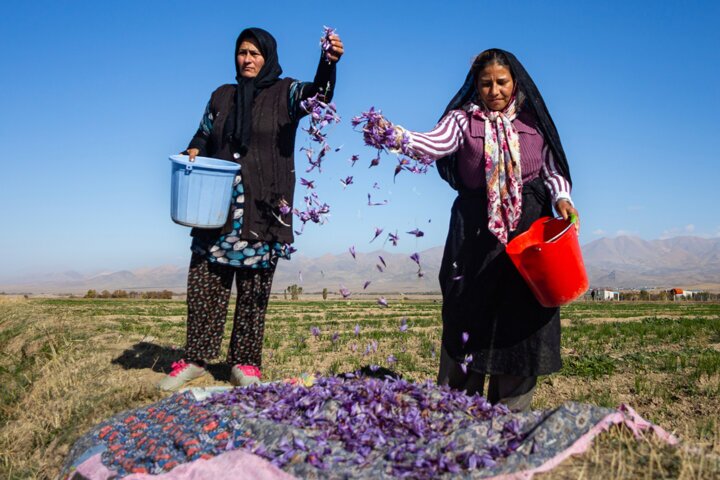 بیمه ۶ هزار و ۴۲۰ خانوار روستایی خراسان‌شمالی