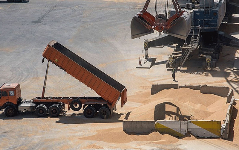 ترخیص ۶۶ هزار تن ذرت دامی از انبار‌های بندر امام خمینی