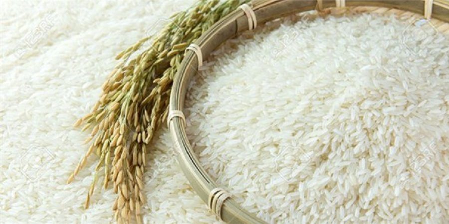 به خودکفایی ۹۰ درصدی در تولید برنج رسیدیم به خودکفایی ۹۰ درصدی در تولید برنج رسیدیم