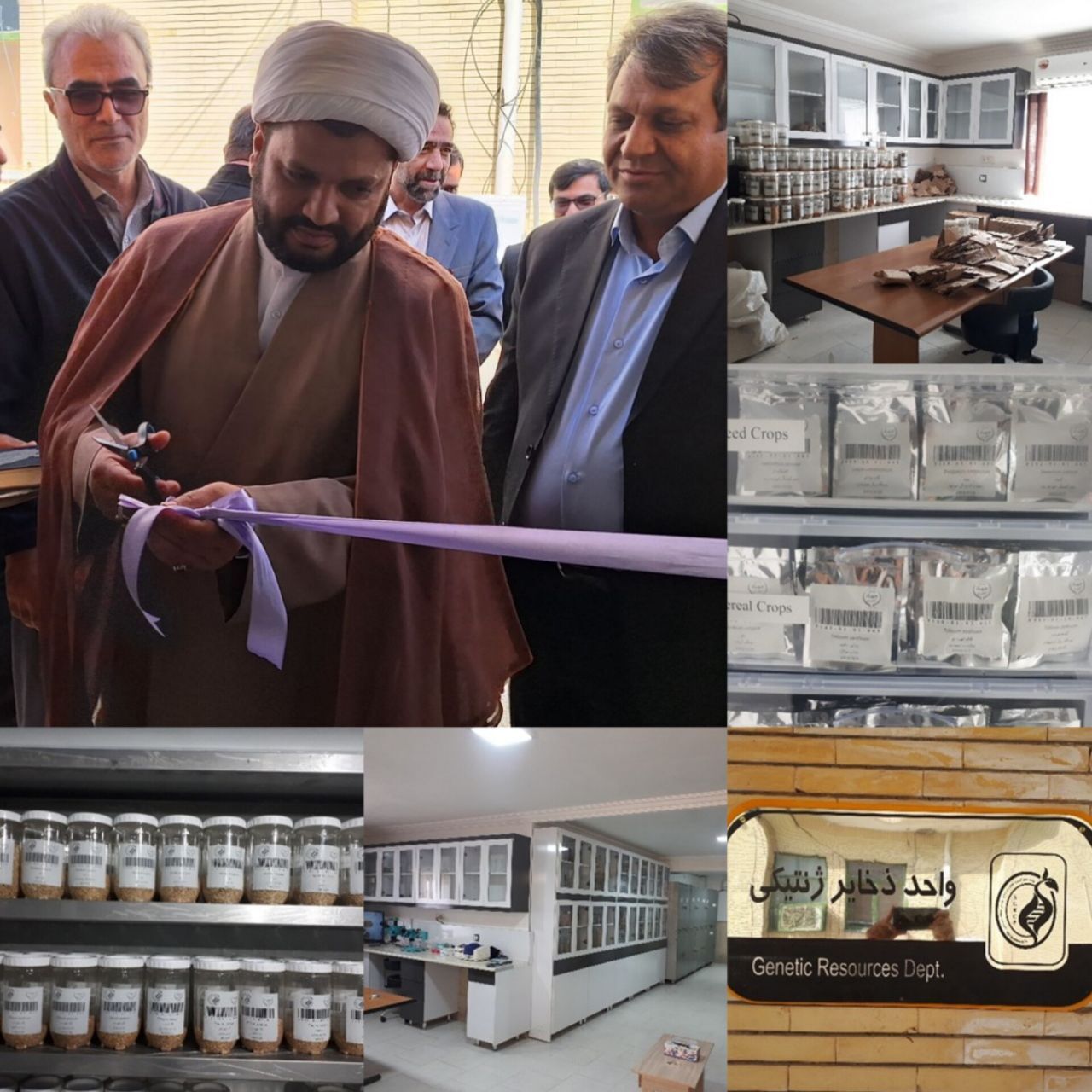 افتتاح واحد ذخایر ژنتیکی گیاهی منطقه سیستان افتتاح واحد ذخایر ژنتیکی گیاهی منطقه سیستان