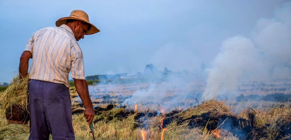 معرفی عاملان آتش زدن بقایای مزارع شلتوک در اهواز به مراجع قضایی معرفی عاملان آتش زدن بقایای مزارع شلتوک در اهواز به مراجع قضایی