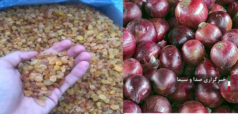 خرید توافقی کشمش و پیاز مازاد در آذربایجان شرقی خرید توافقی کشمش و پیاز مازاد در آذربایجان شرقی