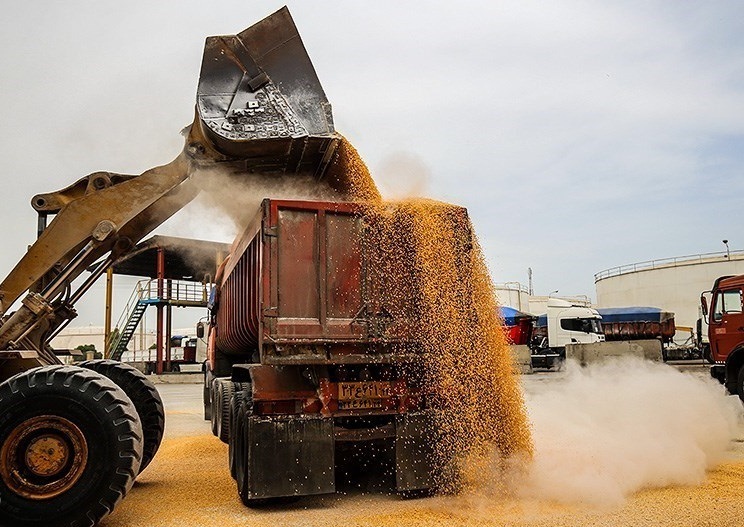 نظارت دامپزشکی خوزستان بر ترخیص ۴.۲ میلیون تن نهادههای دامی نظارت دامپزشکی خوزستان بر ترخیص ۴.۲ میلیون تن نهادههای دامی