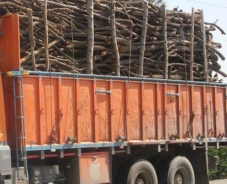 توقف کامیون حامل چوب قاچاق در لاهیجان توقف کامیون حامل چوب قاچاق در لاهیجان