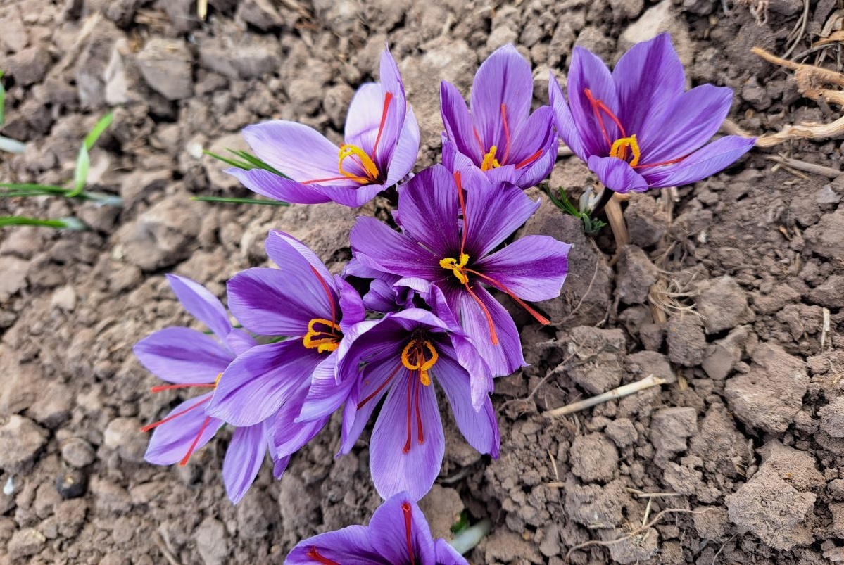 خبر در حال نهایی شدن است