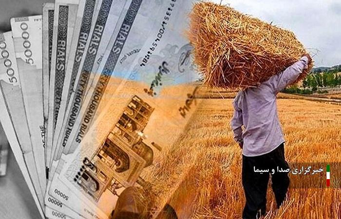 تسویه مطالبات گندم کاران لرستان تسویه مطالبات گندم کاران لرستان