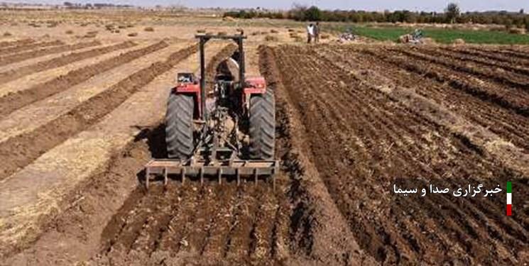 بیش از ۳۳ هزار هکتار اراضی کشاورزی بروجرد زیر کشت پائیزه بیش از ۳۳ هزار هکتار اراضی کشاورزی بروجرد زیر کشت پائیزه