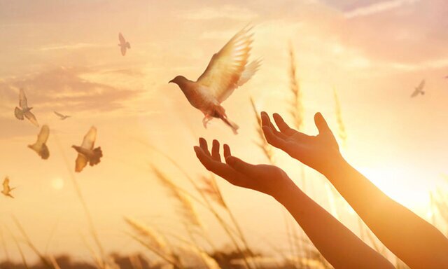 گذشت و بخشش نذر حضرت زهرا (س) گذشت و بخشش نذر حضرت زهرا (س)